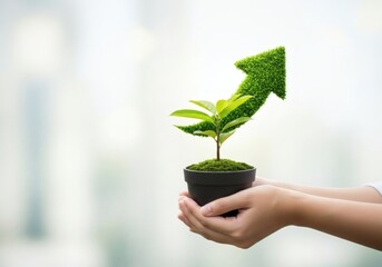 Hands holding a potted plant shaped into an upwardpointing arrow