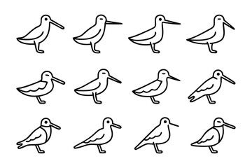 Shorebird Illustration: A collection of illustrated shorebirds, each meticulously drawn with delicate lines. This artwork celebrates the simplicity and elegance of avian life.