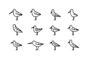 Minimalist Bird Collection: a collection of stylized, outline illustrations of avian forms. Depicting the essence of flight and freedom with an element of simplicity.