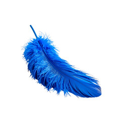 Elegant bright blue feather isolated gracefully floating in space on transparent background