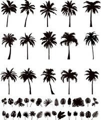palm trees and palm leaves silhouette set