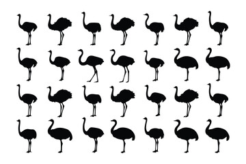 Silhouette Ostriches: A meticulously arranged ensemble of ostrich silhouettes, showcasing these majestic creatures in their elegant, iconic poses.