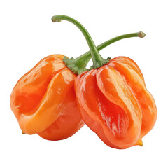 Fiery Habanero Peppers: Vivid close-up of two vibrant habanero peppers with their unique, wrinkled skin and captivating bright color, set against a clean backdrop. Revealing the essence of spiciness.