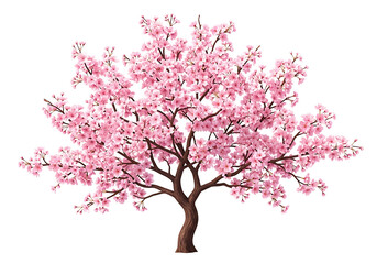 Pink cherry blossom tree against a black background.