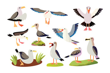 Seagull Assortment: A collection of illustrations showcasing seagulls in various poses, highlighting their unique features and behaviors in a vibrant, illustrative style.