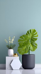Modern Minimalist Interior Decor with Monstera Plant and Geometric Elements