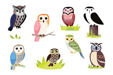 Variety of Owls: A vibrant collection of various owl species, each with unique characteristics, perches on branches or atop wooden posts.