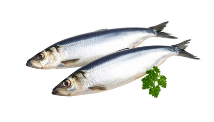 Fototapeta premium Herring fish isolated on transparent background