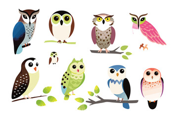 Colorful Owl Collection: A vibrant assortment of adorable cartoon owls, each with unique plumage and charm, creating a whimsical and delightful scene. 