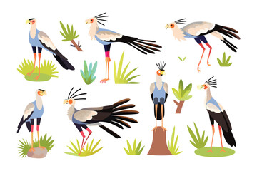 Secretary Birds in Vibrant Illustrated Array: An illustrated collection of secretary birds gracefully posed amidst a vivid natural backdrop of stylized grasslands and shrubs.