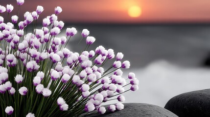 Pastel Bloom at Sunset: Ethereal White and Purple Flowers by the Ocean