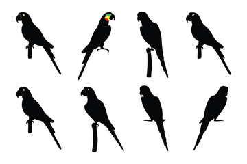 Silhouette Serenade: A captivating ensemble of parrot silhouettes perches with poised elegance, a symphony of dark forms against a background, evoking an exotic allure and avian grace.