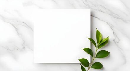 Clean Flat Lay with Leaf and Card Design