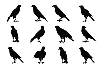 Elegant Avian Silhouettes: A striking collection of elegant bird silhouettes, perfectly isolated, offering a versatile resource for design and conceptual projects, conveying grace and natural essence.