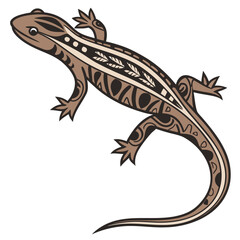 Fototapeta premium lizard on white background