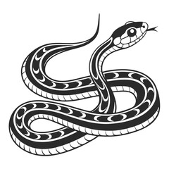 Fototapeta premium black and white snake