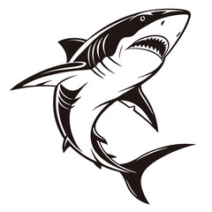 shark vector illustration