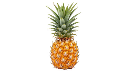 Isolated Pineapple with Green Crown