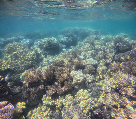 Great Barrier Reef, Australia
