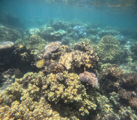 Great Barrier Reef, Australia