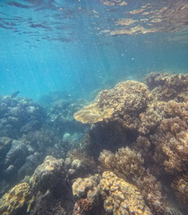 Great Barrier Reef, Australia