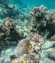 Great Barrier Reef, Australia