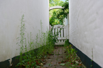 The path to the back entrance of two houses with a garden gate and lots of weeds at the joints