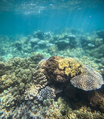 Great Barrier Reef, Australia