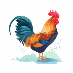 Fototapeta premium Colorful rooster illustration with a bright red comb and vibrant blue and orange plumage.