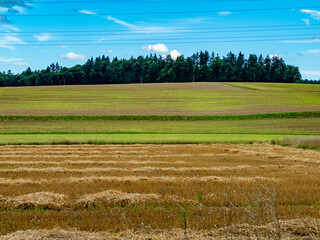 Stoppelfeld nach der Heuernte