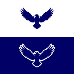 Dynamic eagle soaring with wings spread wide, a symbol of freedom and power in flight.