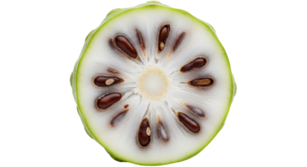 Isolated Noni Fruit Cross-Section