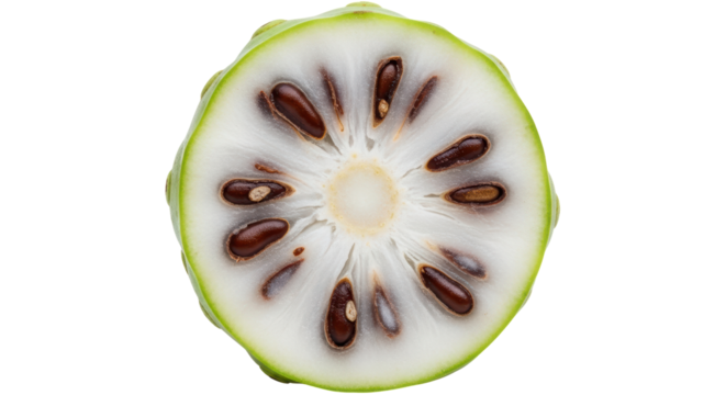 Isolated Noni Fruit Cross-Section