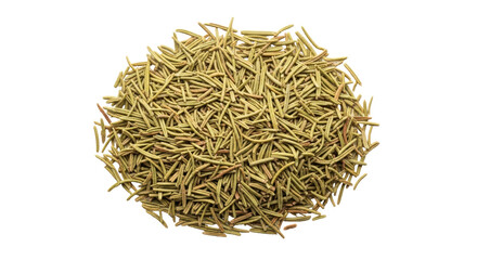 Isolated Rosemary