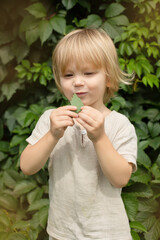 Young Child Examining a Leaf with Curiosity and Wonder