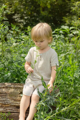 A handsome little blond boy with long hair sits on a log and touches a wildflower with his hands against the background of the forest
