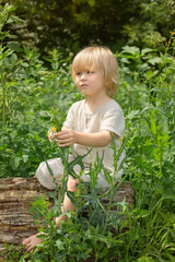 A handsome little blond boy with long hair sits on a log and touches a wildflower with his hands against the background of the forest