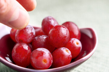 Ripe juicy red grapes and hand reaching for edible berries in ceramic bowl on green table