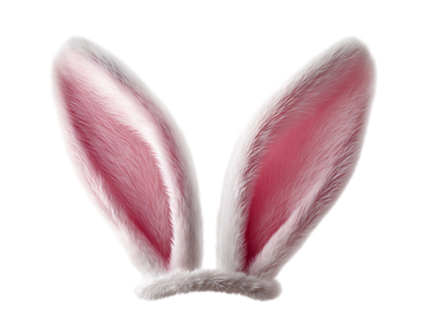 White rabbit ears animal bunny pink