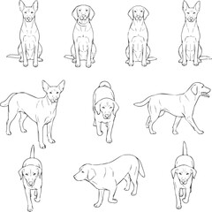 Create a kinds of deferent CAD Drawings. Set dogs outlines Sitting, walking. Top view. vector art with white background.