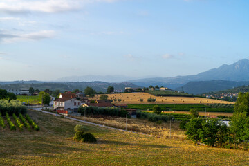 Scenic Countryside Landscape with Vineyards and Fields, Italy