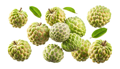 Fototapeta premium Beautiful arrangement of sugar apples and leaves on a clean white background