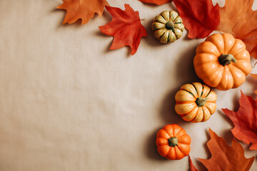 Autumn display with colorful pumpkins and vibrant leaves on a textured surface