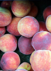 Tray of Peaches on a market stall, Derbyshire England
