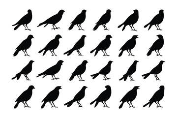 Obraz premium A Flock of Silhouetted Birds: A mesmerizing pattern of black birds is arranged in neat rows, casting dark silhouettes against the bright background. It evokes a sense of uniformity and subtle mystery.