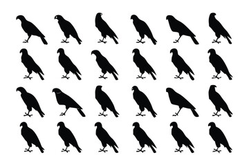 Silhouette of a Bird: A striking pattern of elegant bird silhouettes gracefully stand against the plain backdrop, creating a visual symphony of shadows and forms.