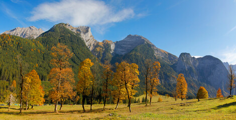 Ahornboden mit Karwendelgebirge im Herbst, Panorama, Tirol, Österreich