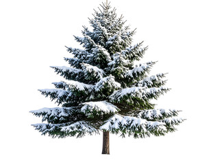 Snow-Covered Pine Tree with Frosty Branches isolated on transparent background PNG