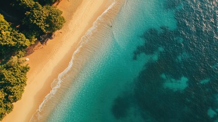 Aerial view of a tropical beach with turquoise water and sandy shore, lush green vegetation on the edge, gentle waves lapping the shore.