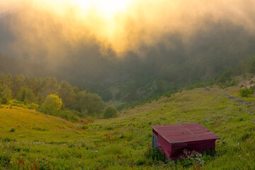 A red shed on the hills and forest with fog in the background
